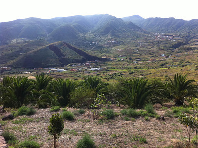 Área recreativa “Los Pedregales”