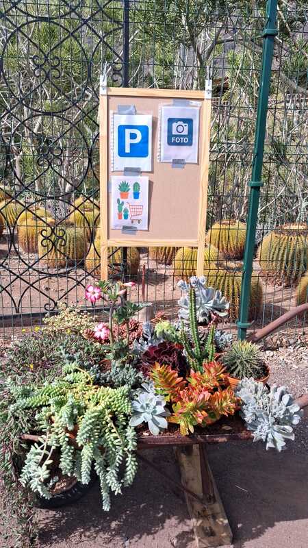 SUCULENTAS EL RINCÓN