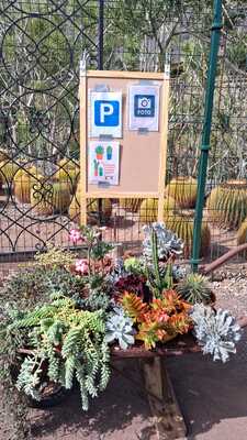 SUCULENTAS EL RINCÓN